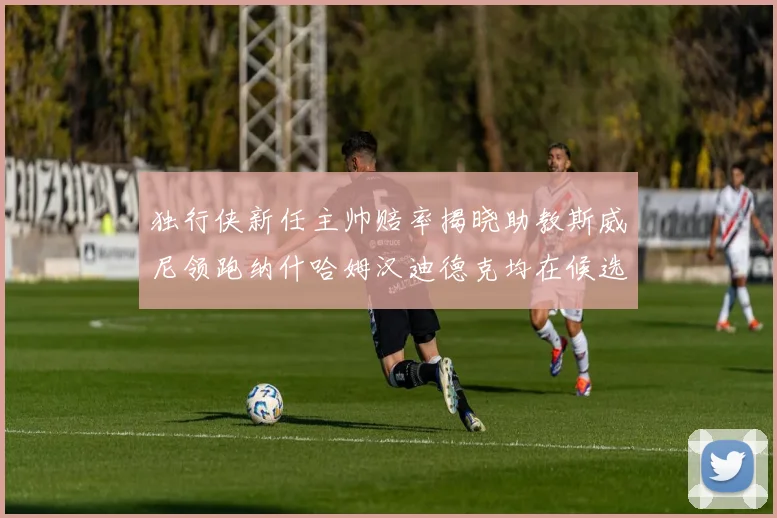 独行侠新任主帅赔率揭晓助教斯威尼领跑纳什哈姆汉迪德克均在候选之中