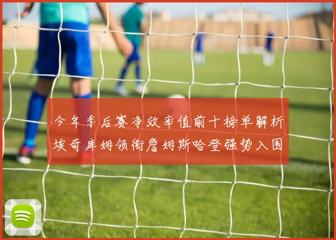 今年季后赛净效率值前十榜单解析埃奇库姆领衔詹姆斯哈登强势入围