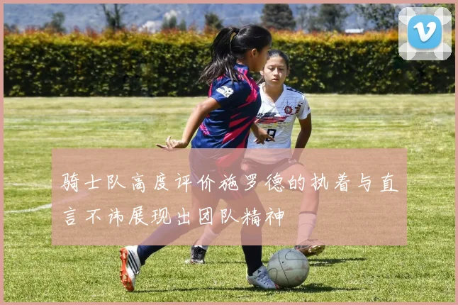 骑士队高度评价施罗德的执着与直言不讳展现出团队精神
